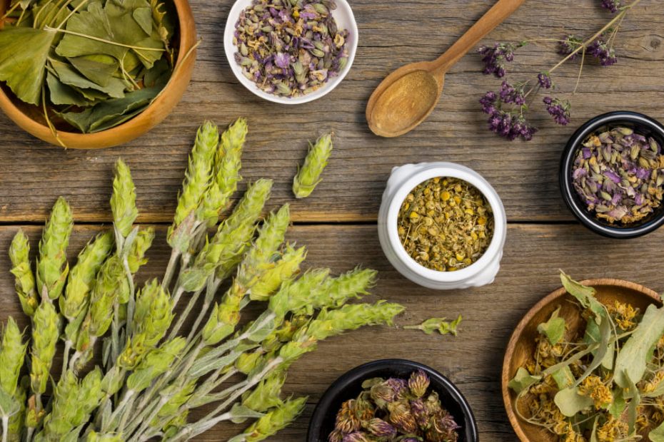 11 Medicinal Herbs and Their Recognized Benefits