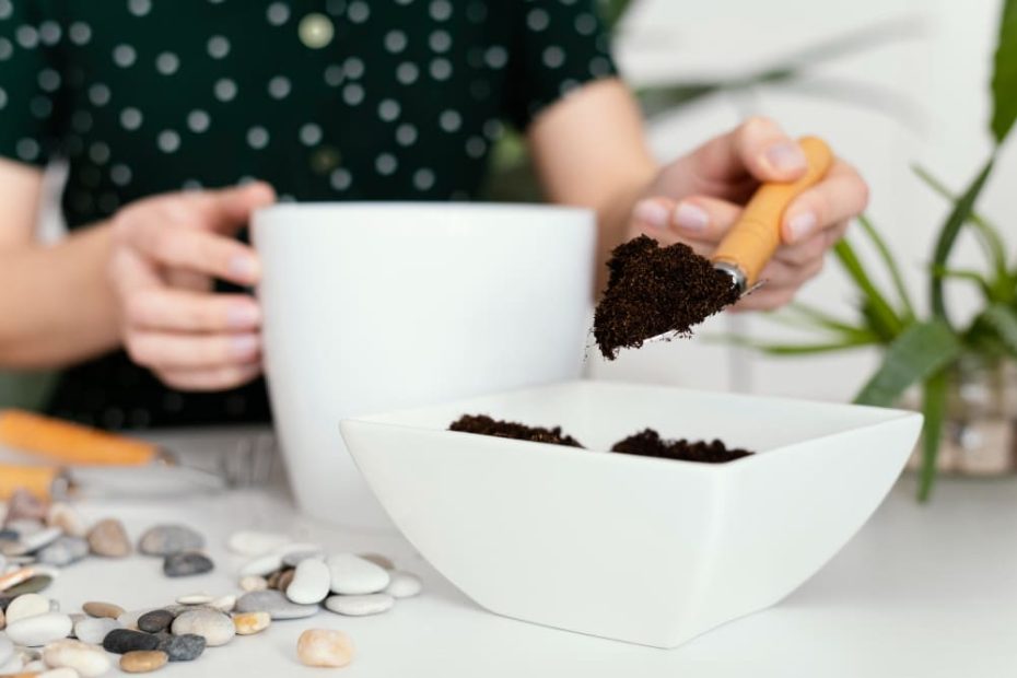 9 Common Houseplants That Love Coffee Grounds 