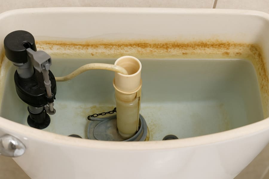 Prevents Mineral Build-Up