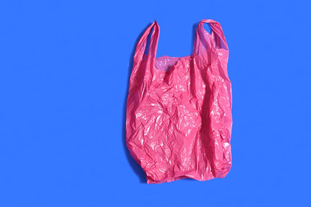 10 Hacks Plastic Grocery Bags