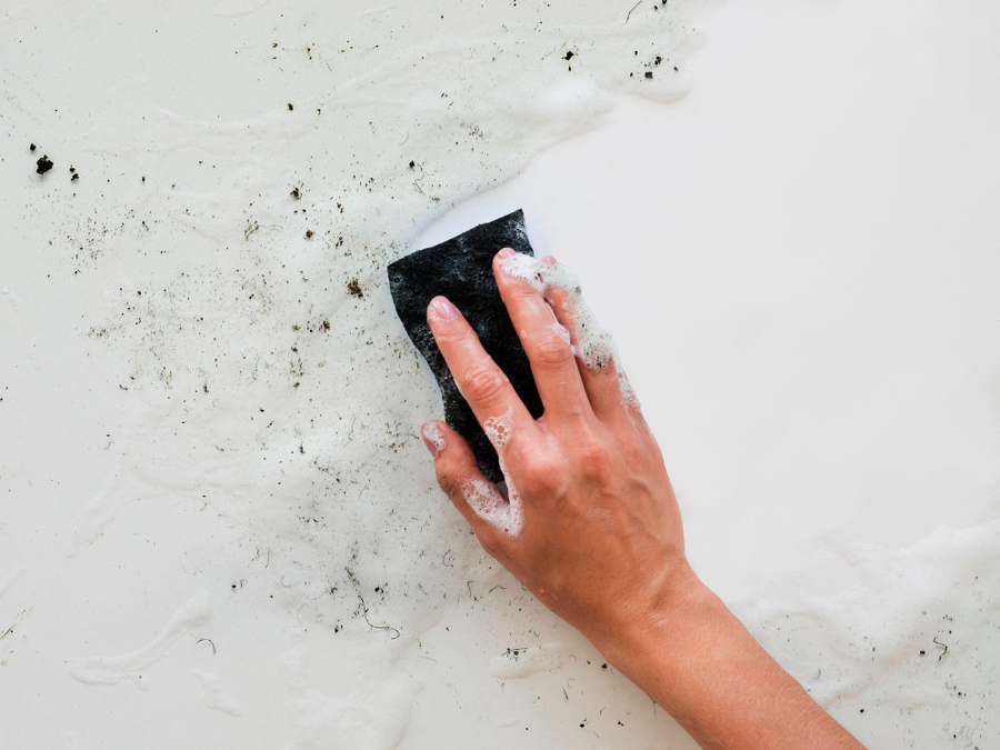 Mold Removal Process