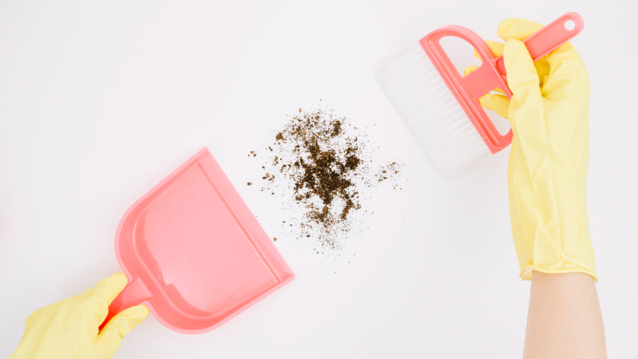 Wipe & Sweep Every Day: The Rule Book for Clean Kitchens